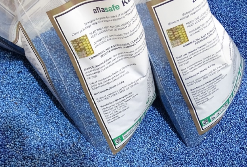 IITA, TAAT to Showcase Scalable Solutions for Africa’s Grain Challenges at Premier Trade Summit