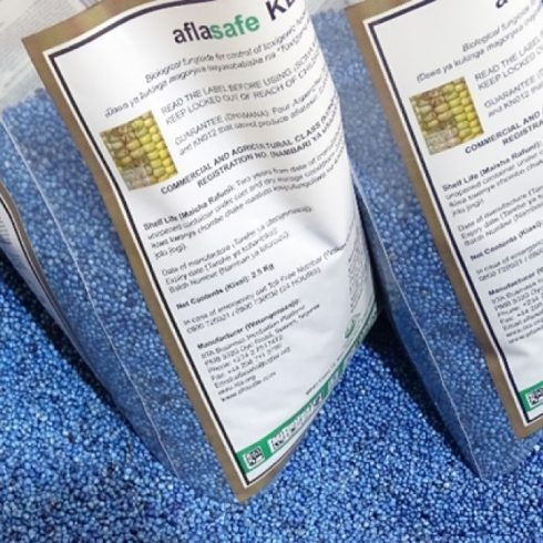IITA, TAAT to Showcase Scalable Solutions for Africa’s Grain Challenges at Premier Trade Summit